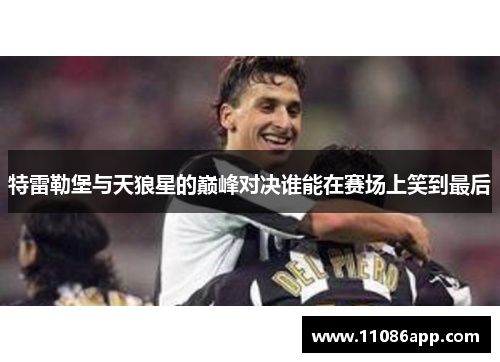 特雷勒堡与天狼星的巅峰对决谁能在赛场上笑到最后